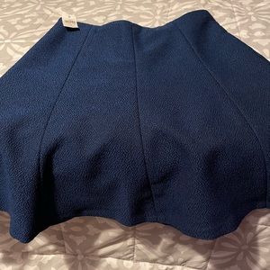 Ann Taylor A-Line Blue Skirt New with Tag